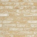 Avolto Muria Yellow