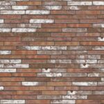 Metropolis Civitas Brown