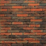 Pagus Red-Brown