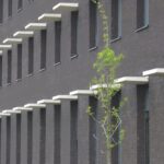 Nero Manganese Black