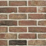 Tacana (Hathaway Brindled)