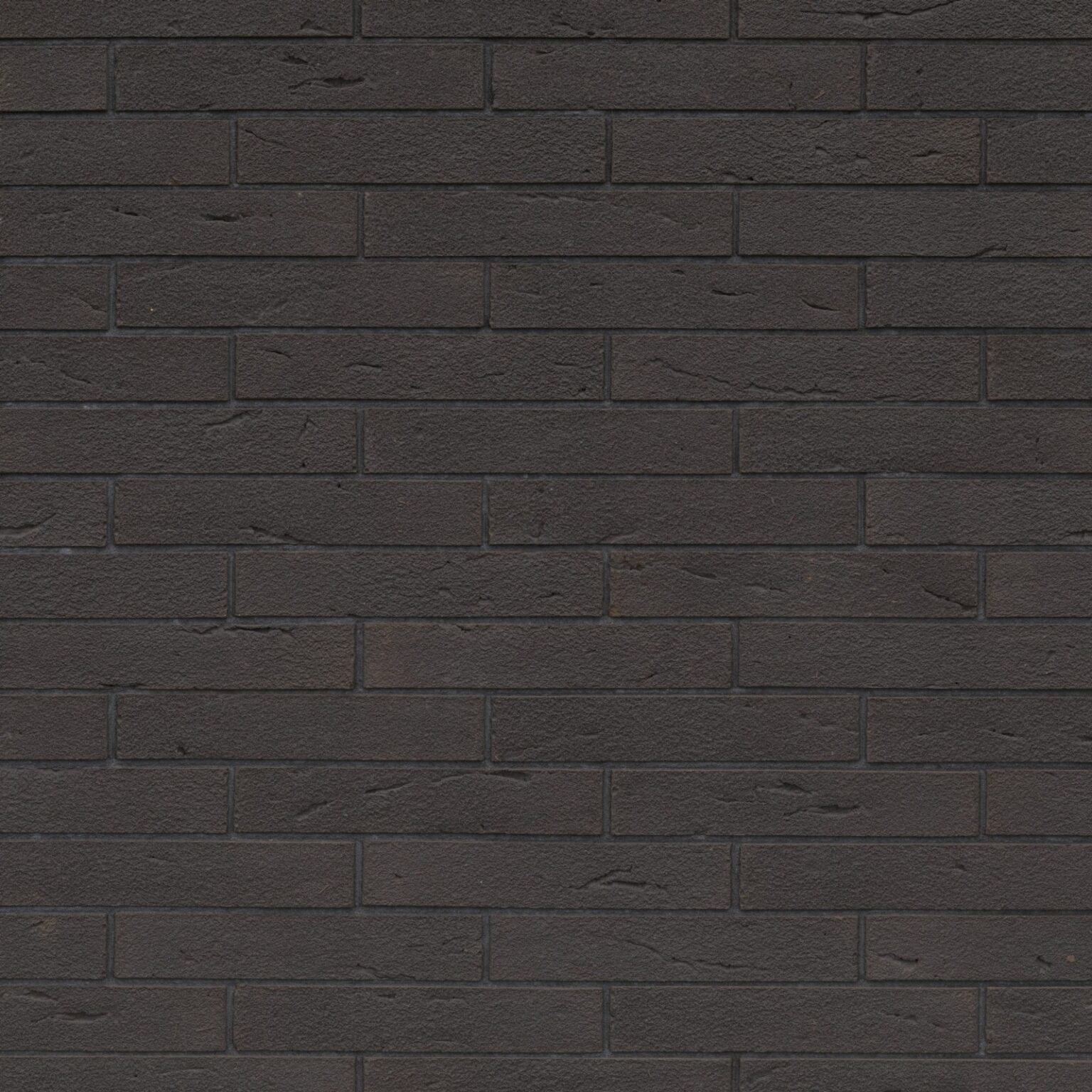 Elignia Moria Black